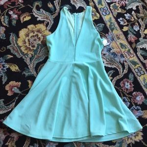 Honey Punch Skater Dress